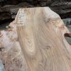 Elm #007 piece of kiln dried wood for sale