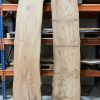 Elm timber 2 x pieces