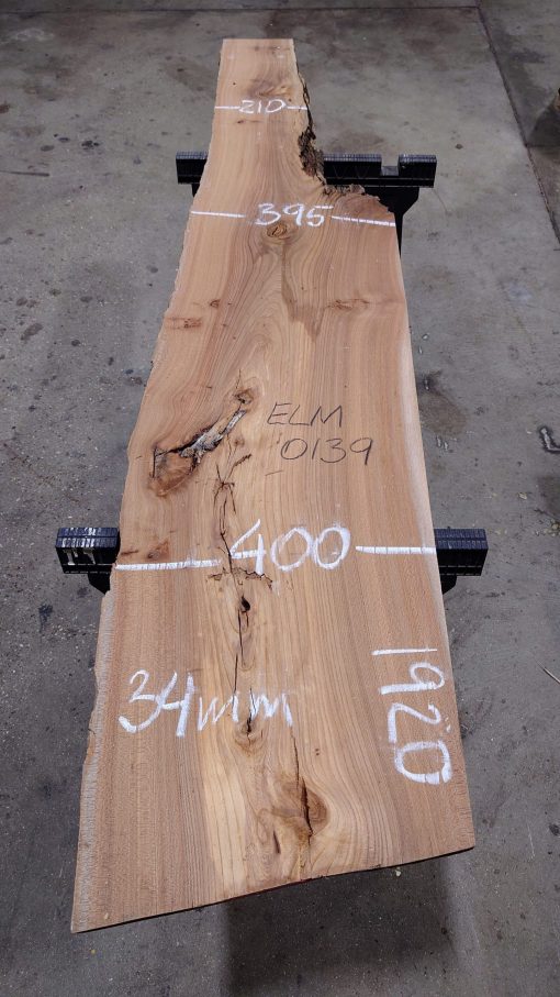 Elm #0139
