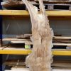 Elm timber #0140