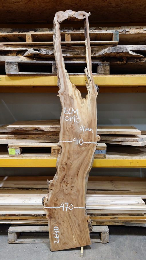 Elm #0143