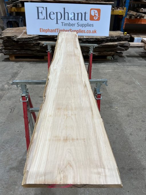 Sycamore #043 kiln dried timber