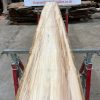 Sycamore 042 kiln dried timber plank