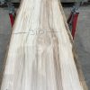 Sycamore 042 kiln dried timber plank
