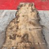 Burr Oak #002 slabs. Kiln dried