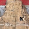 Burr Oak #003 slabs. Kiln dried