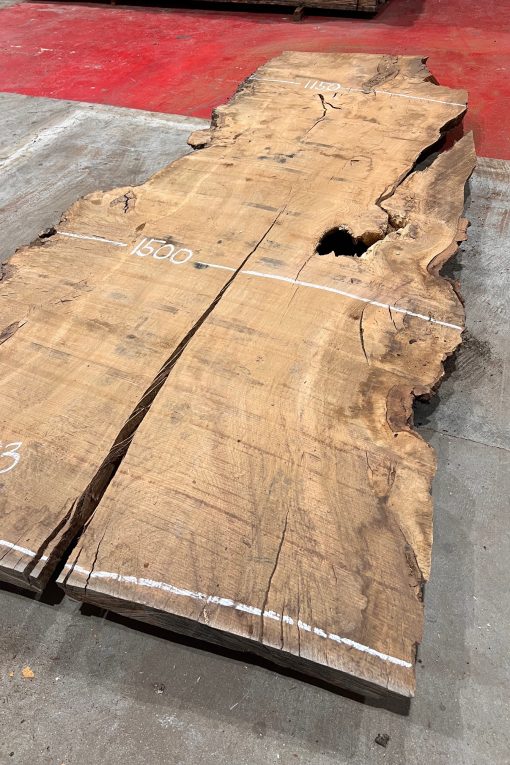 Burr Oak #003 slabs. Kiln dried