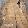 Burr Oak #004 slabs. Kiln dried