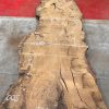 Burr Oak #005. Kiln dried slabs for making resin table tops