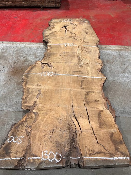 Burr Oak #005. Kiln dried slabs for making resin table tops