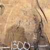 Burr Oak #005. Kiln dried slabs for making resin table tops