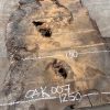 Burr Oak #007. Kiln dried slabs for making resin table tops