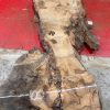Burr Oak #007. Kiln dried slabs for making resin table tops