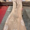 Elm #0134 kiln dried and planed on both sides a piece of timber wood