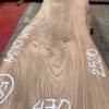 Elm #0134 kiln dried and planed on both sides a piece of timber wood
