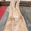 Elm #0134 kiln dried and planed on both sides a piece of timber wood
