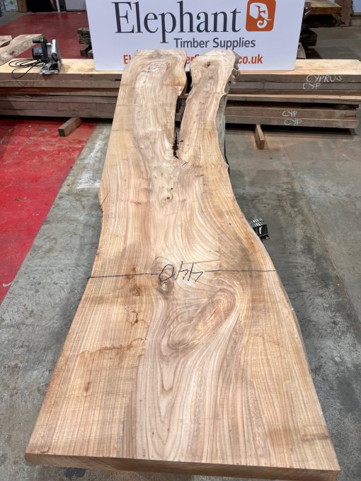Elm #0134 kiln dried and planed on both sides a piece of timber wood