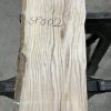 Ash timber piece SP002