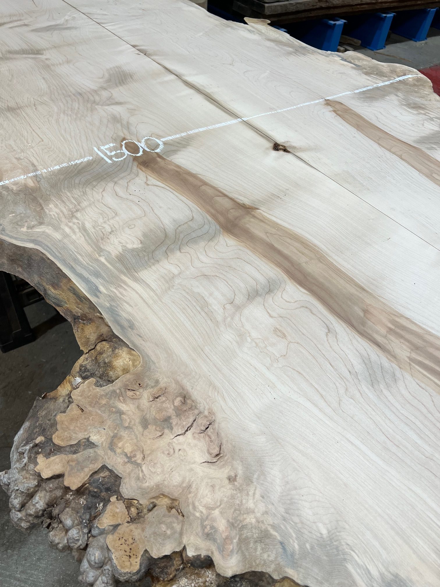 Sycamore Book Matched Pair #001