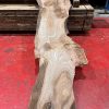 Elm #003 piece of kiln dried wood for sale