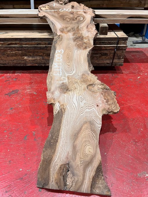 Elm #003 piece of kiln dried wood for sale