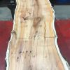 Yew kiln dried plank #020