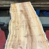 Yew kiln dried plank #020