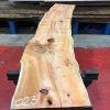Yew kiln dried timber plank #023