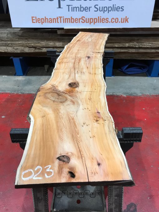 Yew kiln dried timber plank #023