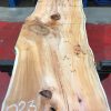 Yew kiln dried timber plank #023