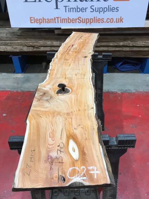 Kiln dried Yew plank #027