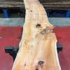 Kiln dried Yew plank #027