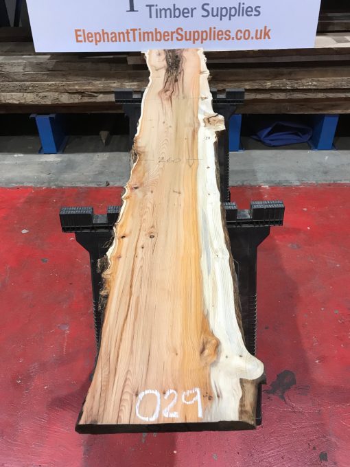 Kiln dried Yew plank #029