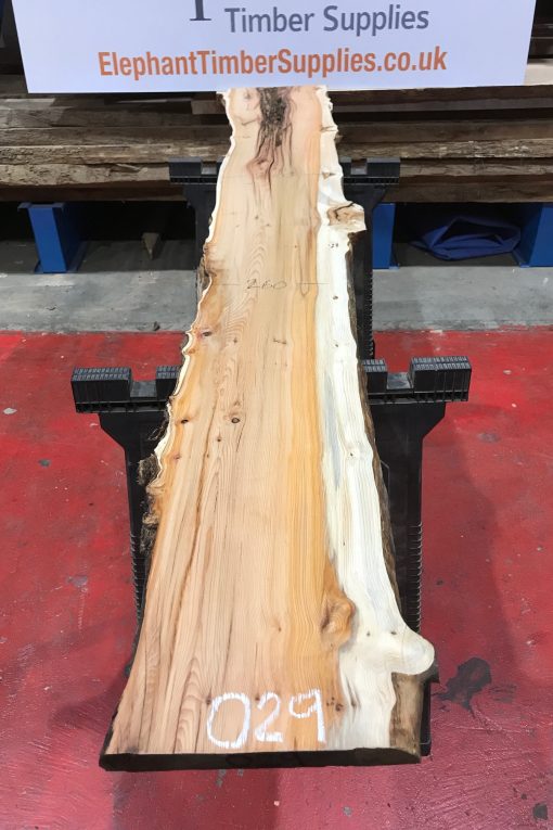 Kiln dried Yew plank #029