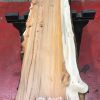 Kiln dried Yew plank #029