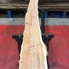 Kiln dried Yew plank #030