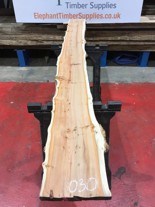 Kiln dried Yew plank #030
