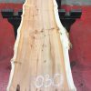 Kiln dried Yew plank #030