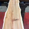 Kiln dried Yew plank #030