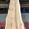 Kiln dried Yew plank #030