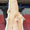 Yew kiln dried timber plank #045