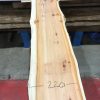 Yew kiln dried timber plank #045