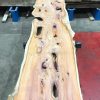 Yew #046 kiln dried plank