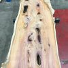 Yew #046 kiln dried plank