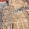 Burr Oak #042. Kiln dried slabs for making resin table tops