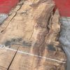 Burr Oak #042. Kiln dried slabs for making resin table tops