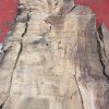 Burr Oak #042. Kiln dried slabs for making resin table tops