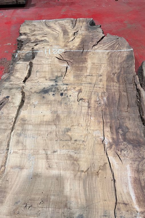 Burr Oak #042. Kiln dried slabs for making resin table tops