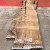 Burr Oak #043. Kiln dried slabs for making resin table tops