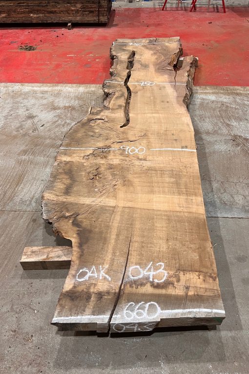 Burr Oak #043. Kiln dried slabs for making resin table tops